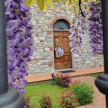 Pietra E Glicine B&B Pieve a Nievole Buitenkant foto