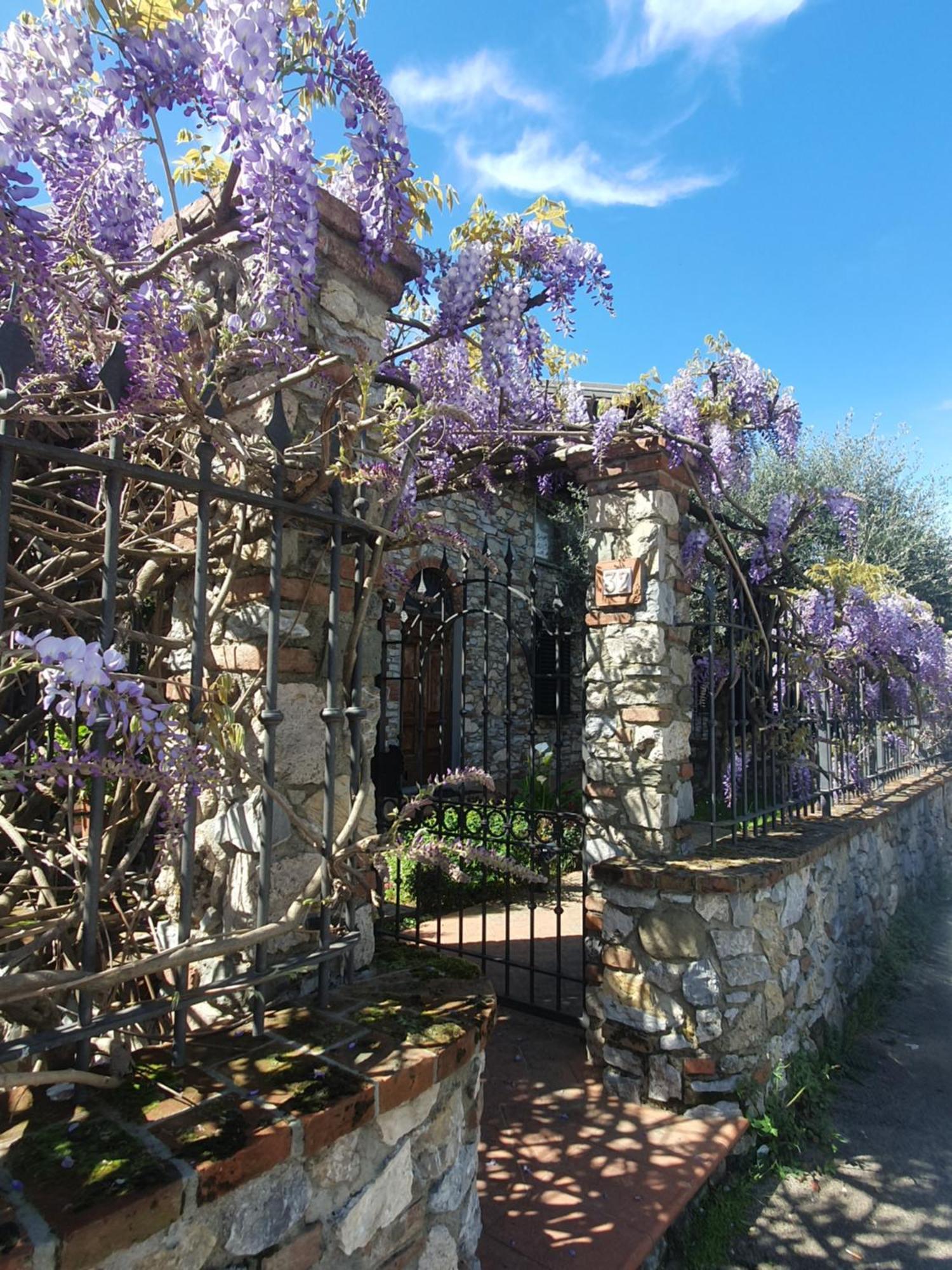 Pietra E Glicine B&B Pieve a Nievole Buitenkant foto